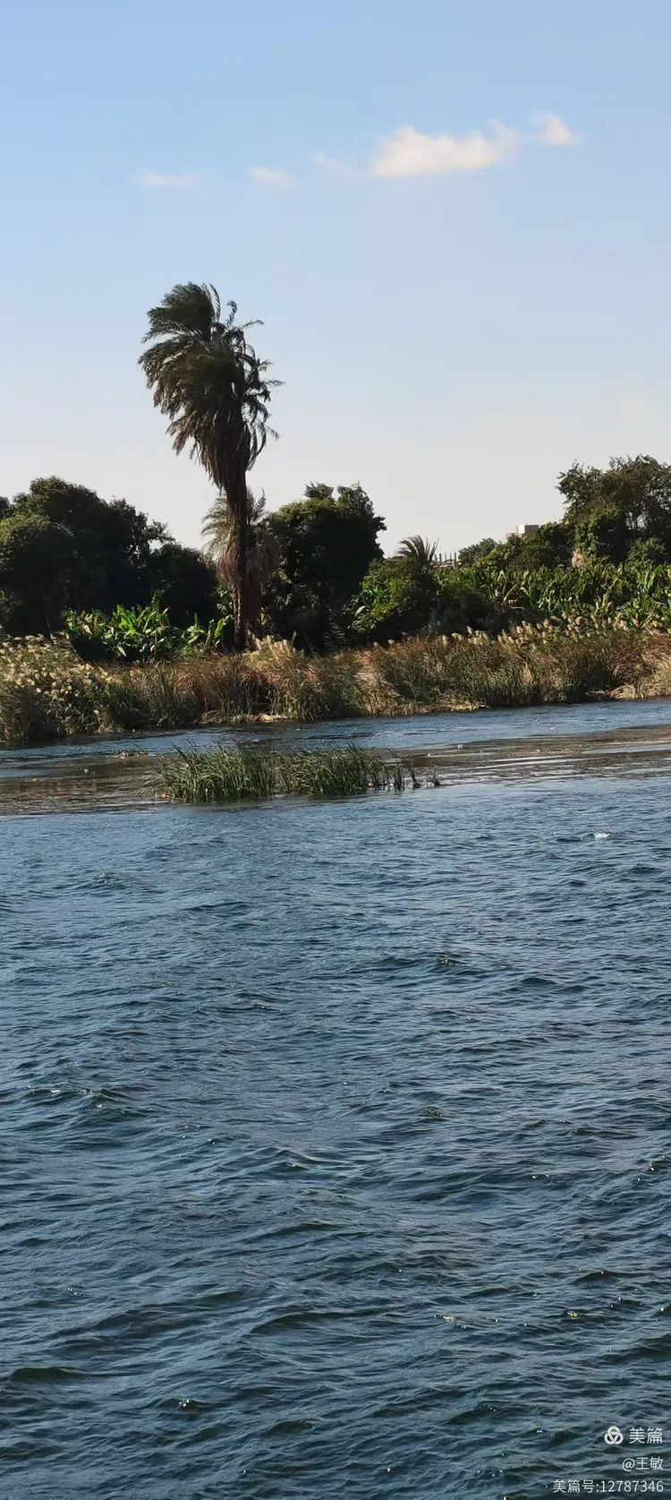 埃及尼罗河游轮之行2024.12.19